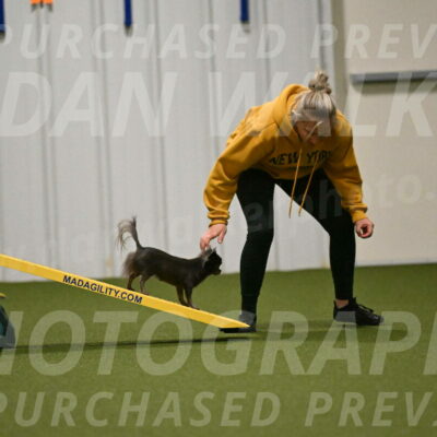 Felina-Samantha-Yanchik-07706