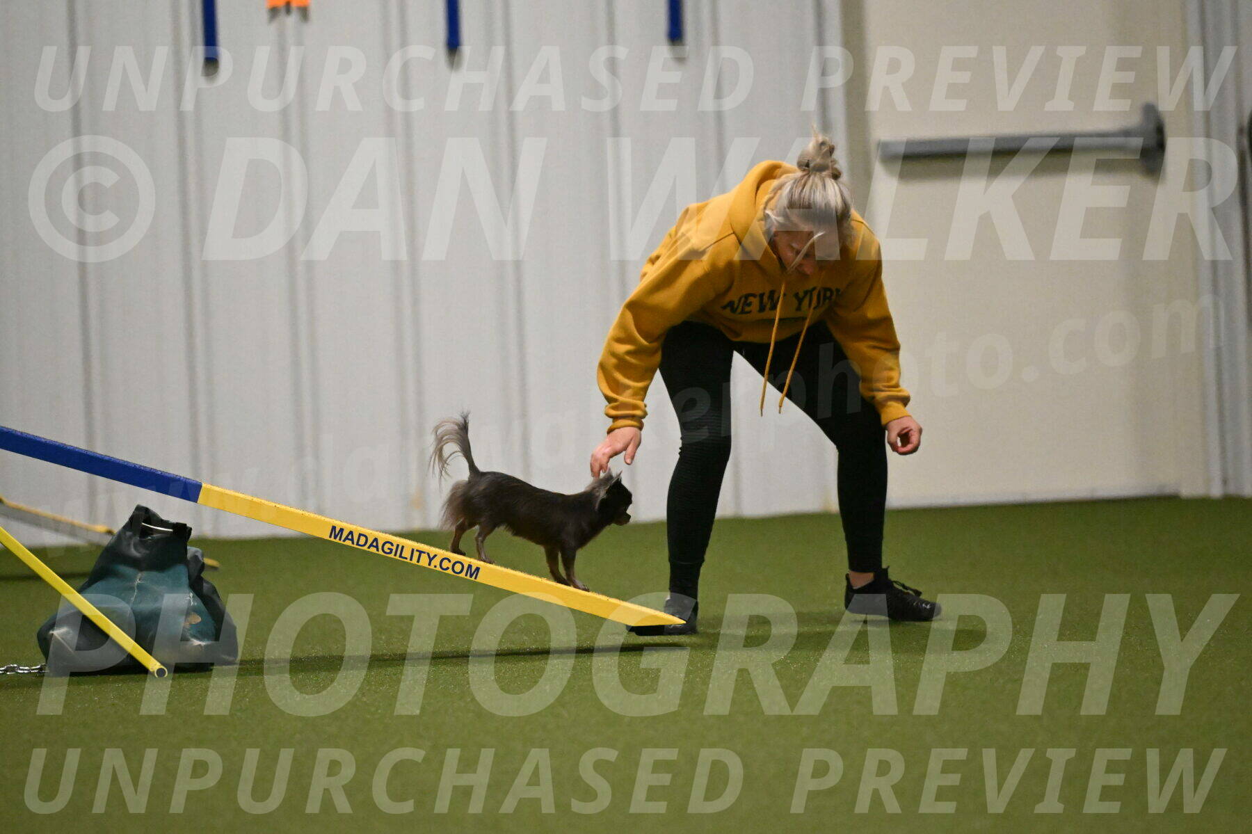 Felina-Samantha-Yanchik-07706