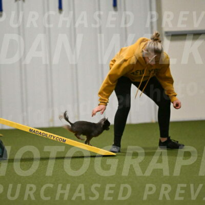 Felina-Samantha-Yanchik-07707