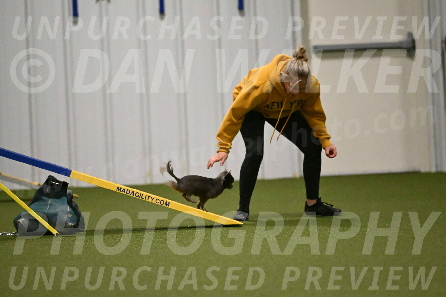 Felina-Samantha-Yanchik-07707