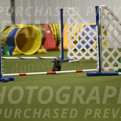 Felina-Samantha-Yanchik-07708