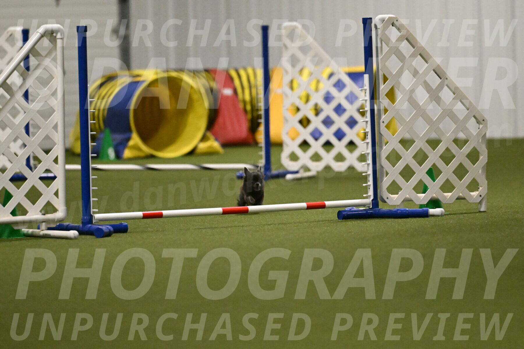 Felina-Samantha-Yanchik-07708