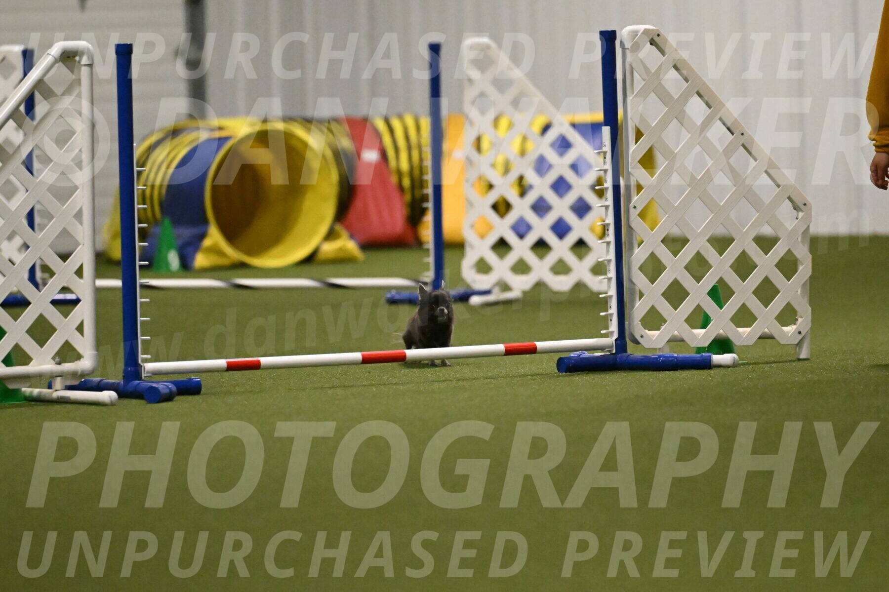 Felina-Samantha-Yanchik-07709