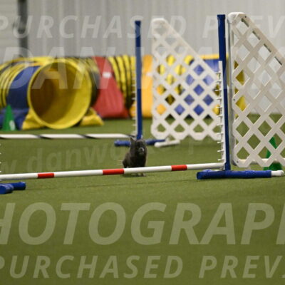 Felina-Samantha-Yanchik-07709