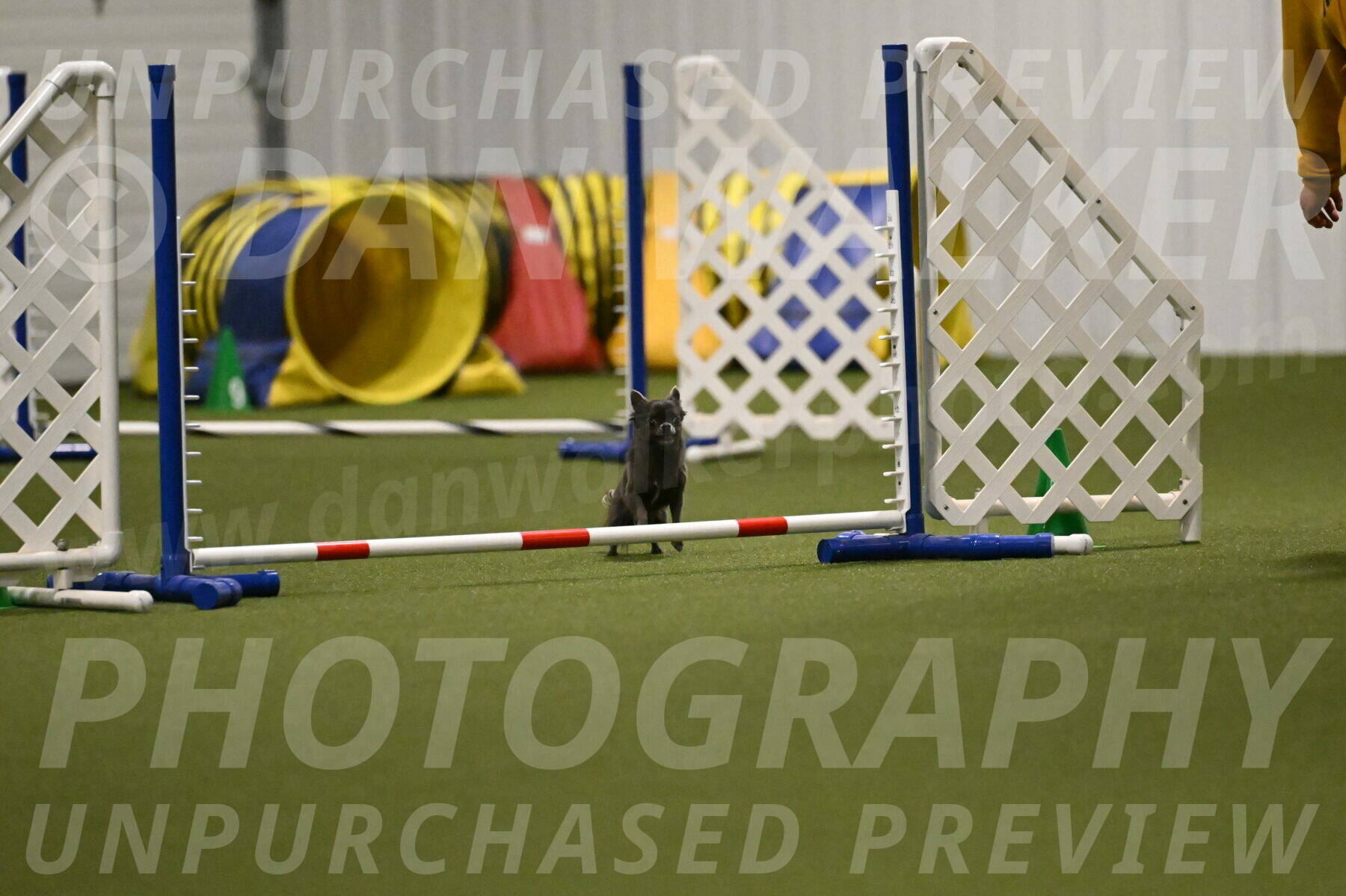 Felina-Samantha-Yanchik-07710