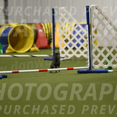 Felina-Samantha-Yanchik-07710