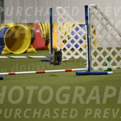 Felina-Samantha-Yanchik-07711