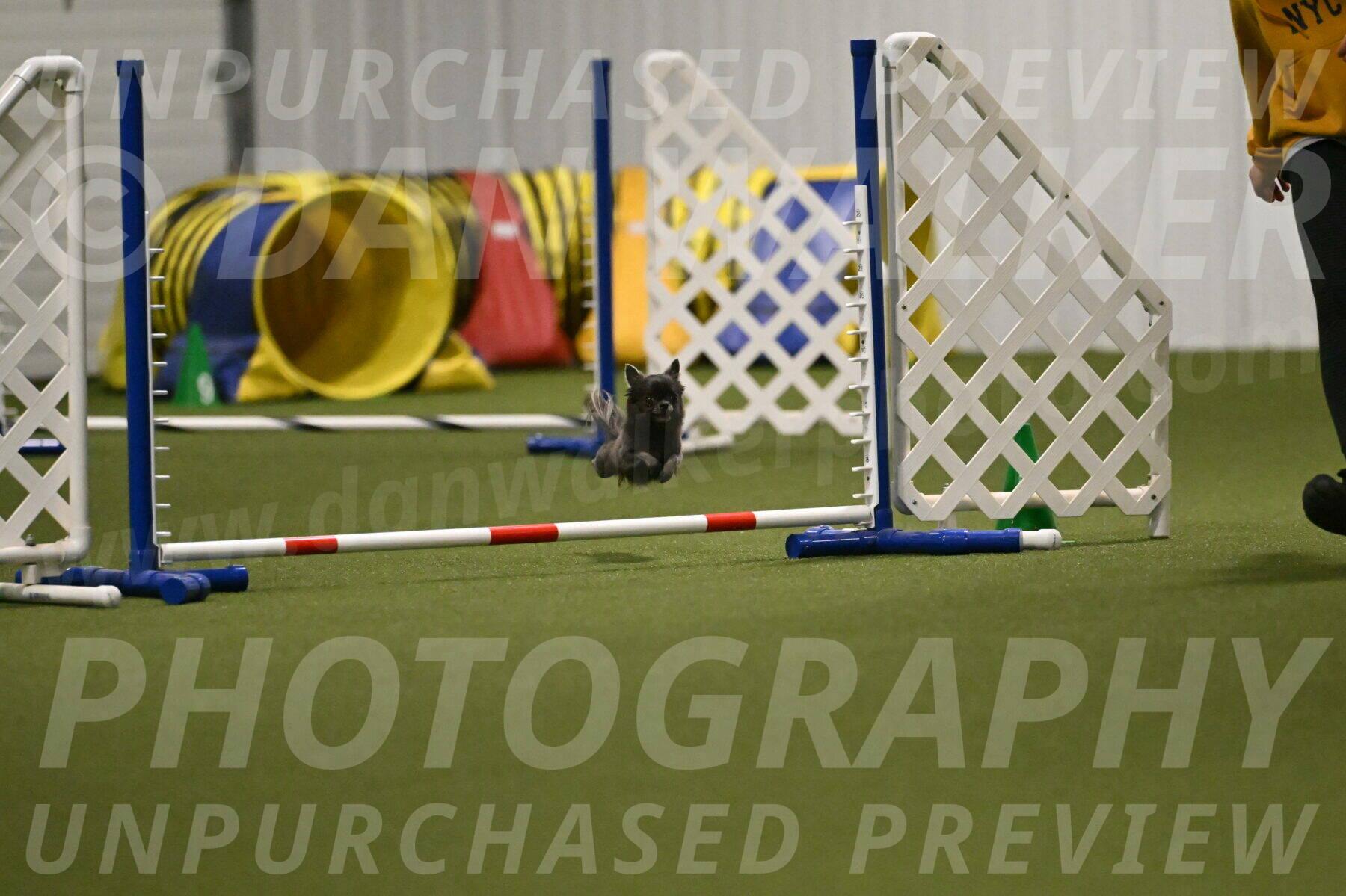 Felina-Samantha-Yanchik-07711