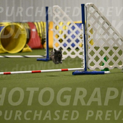 Felina-Samantha-Yanchik-07712