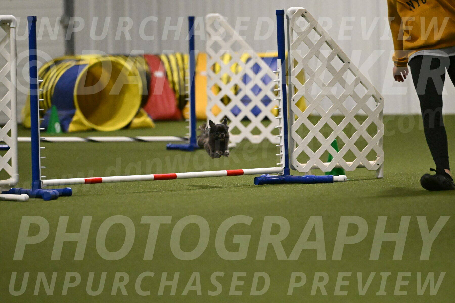 Felina-Samantha-Yanchik-07712