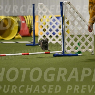 Felina-Samantha-Yanchik-07713