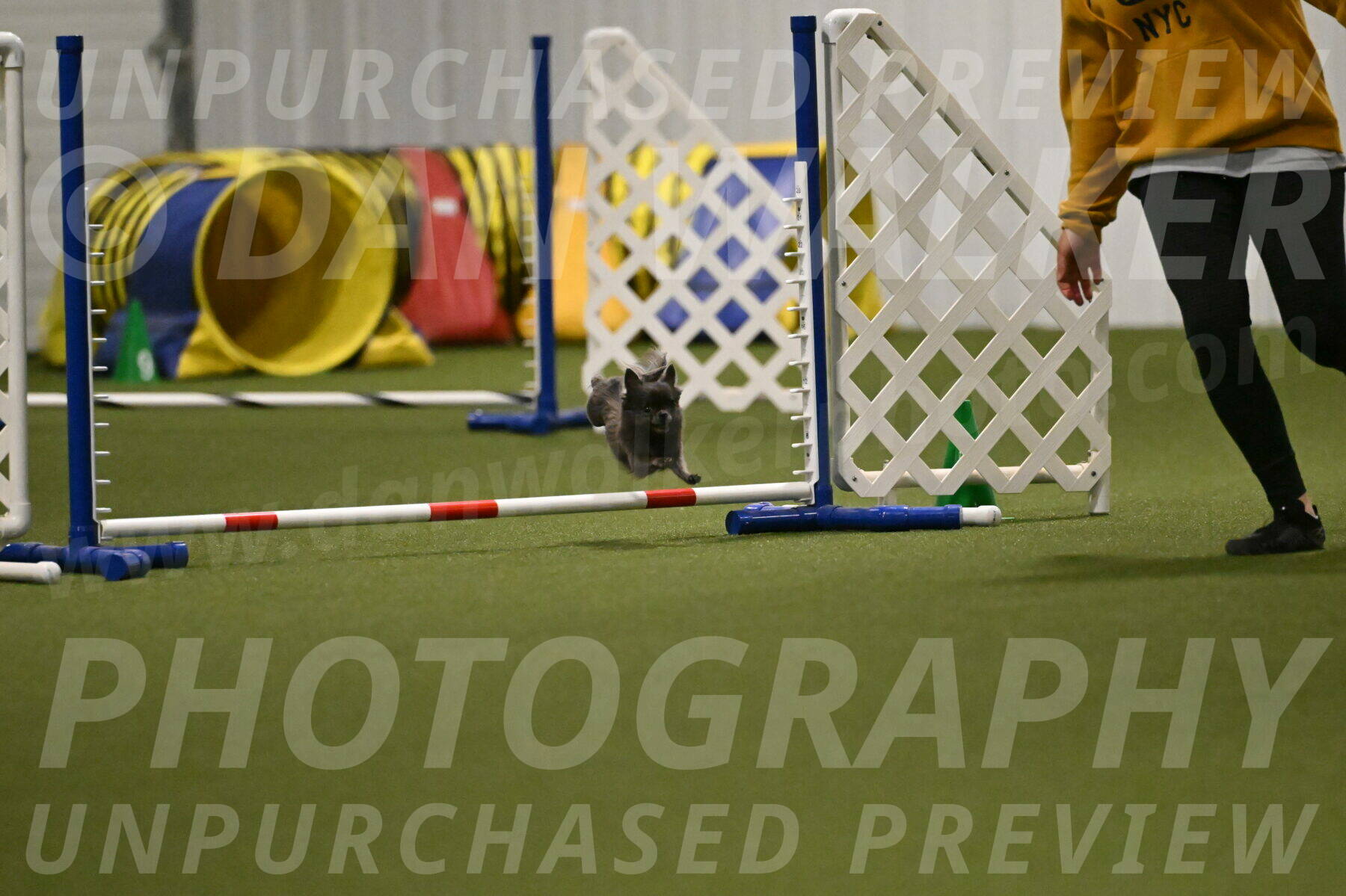 Felina-Samantha-Yanchik-07713