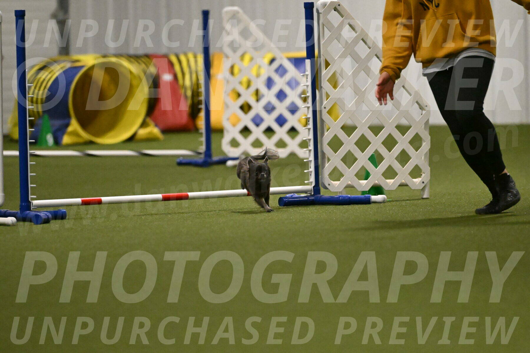 Felina-Samantha-Yanchik-07714