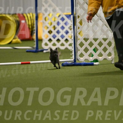 Felina-Samantha-Yanchik-07715