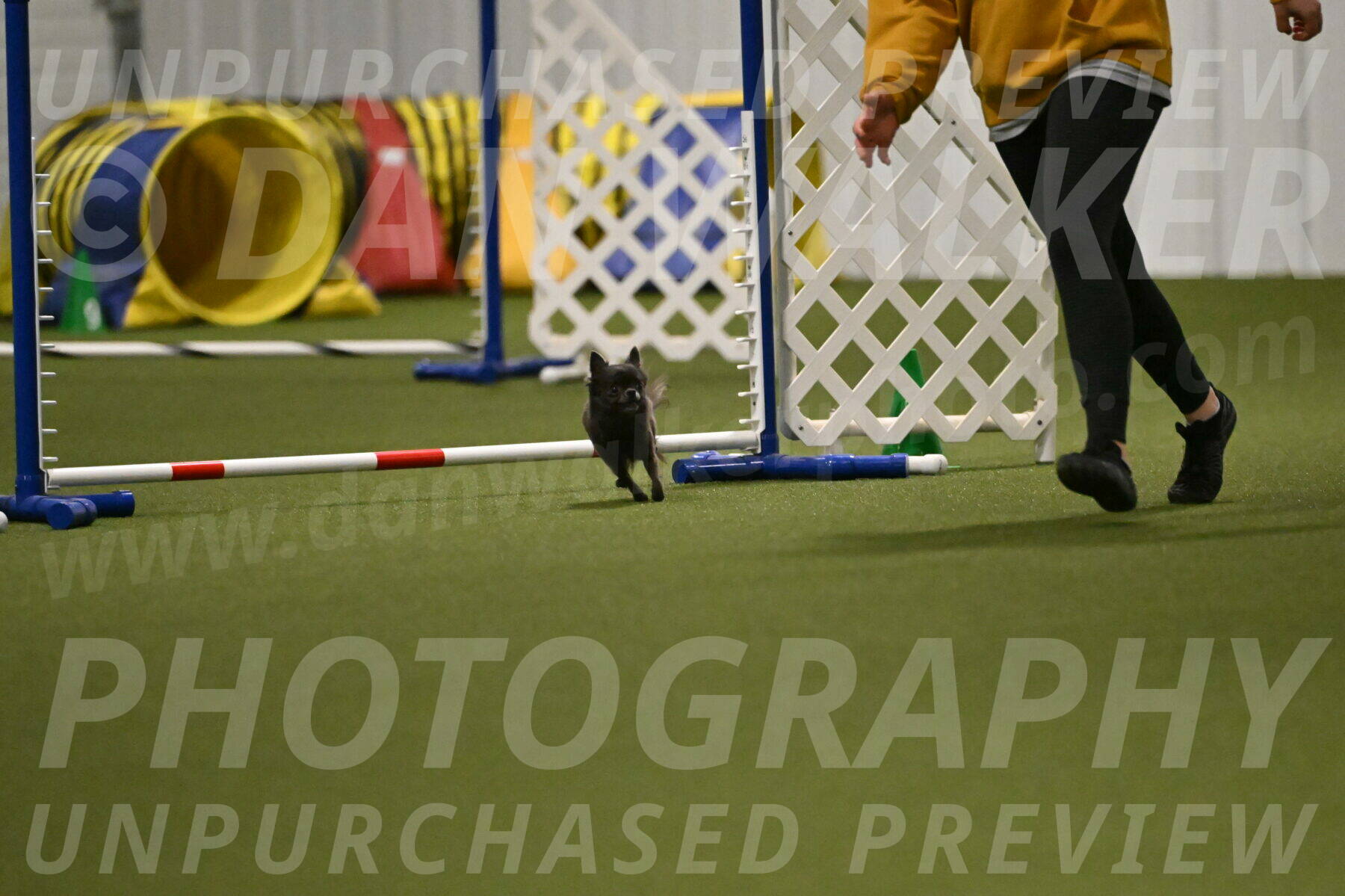 Felina-Samantha-Yanchik-07715