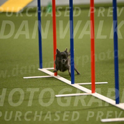 Felina-Samantha-Yanchik-07717