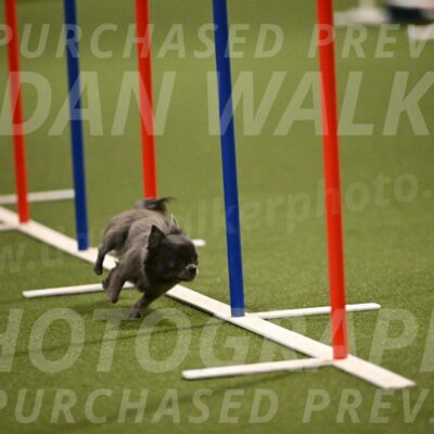 Felina-Samantha-Yanchik-07718