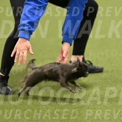 Felina-Samantha-Yanchik-07720