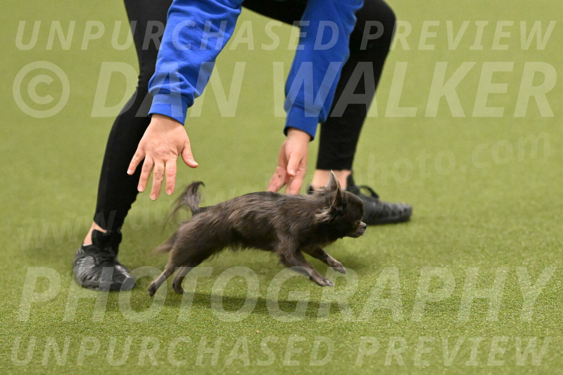 Felina-Samantha-Yanchik-07720