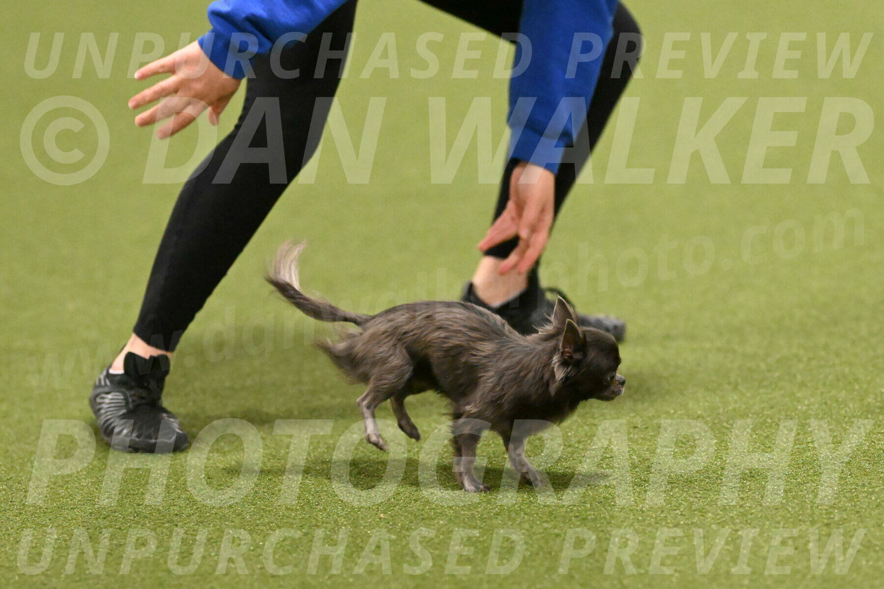 Felina-Samantha-Yanchik-07721