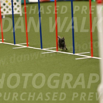 Felina-Samantha-Yanchik-07725