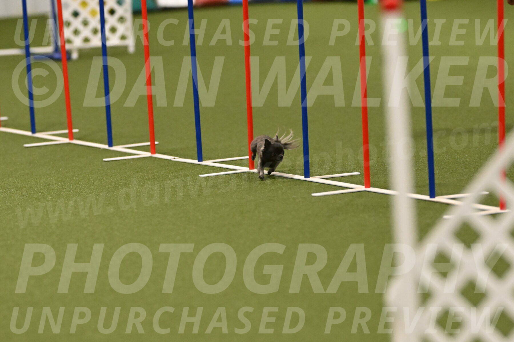 Felina-Samantha-Yanchik-07726