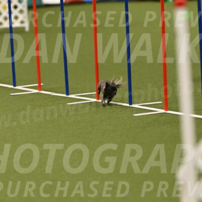 Felina-Samantha-Yanchik-07726