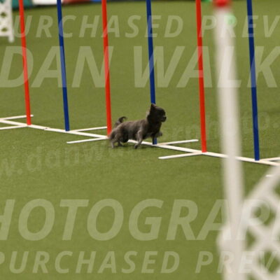 Felina-Samantha-Yanchik-07727