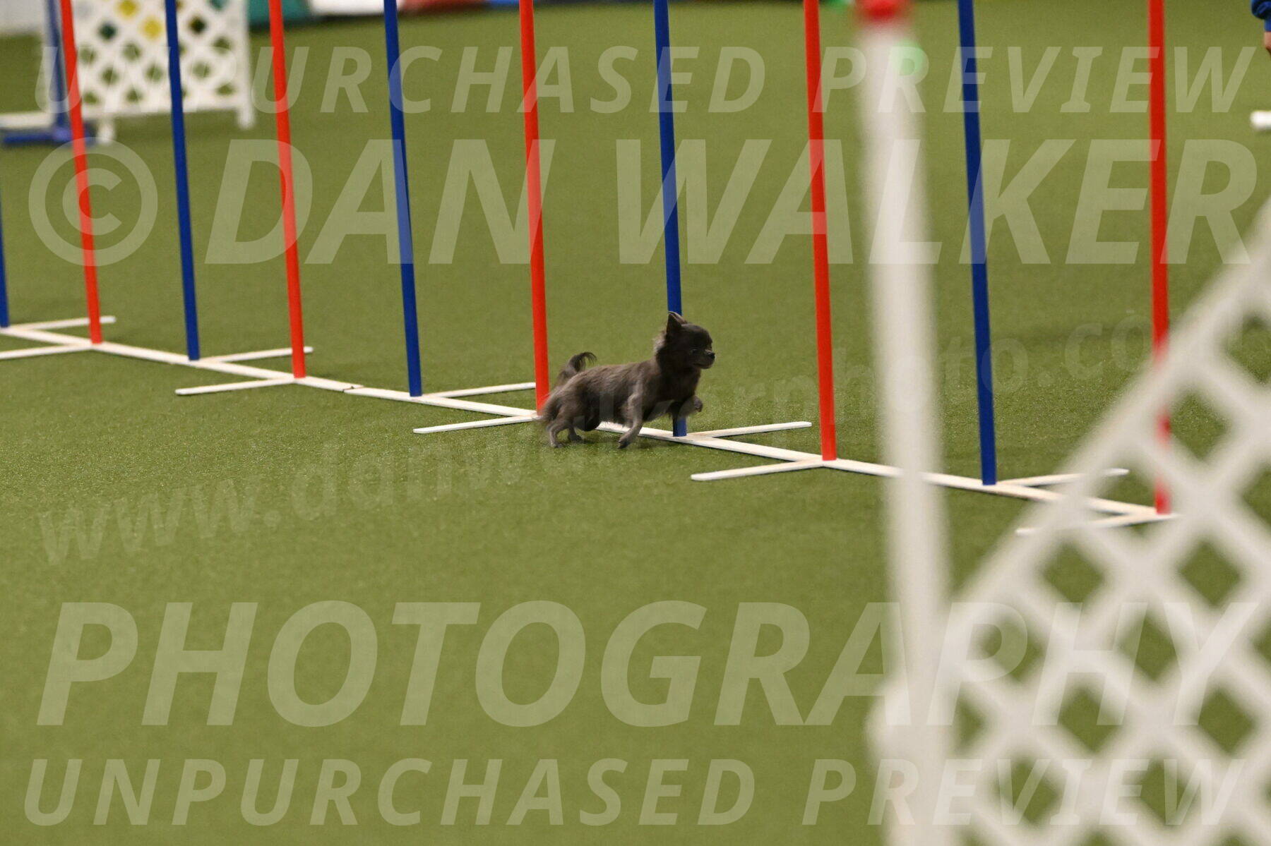 Felina-Samantha-Yanchik-07727