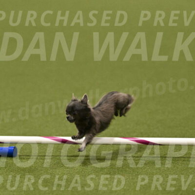 Felina-Samantha-Yanchik-07728