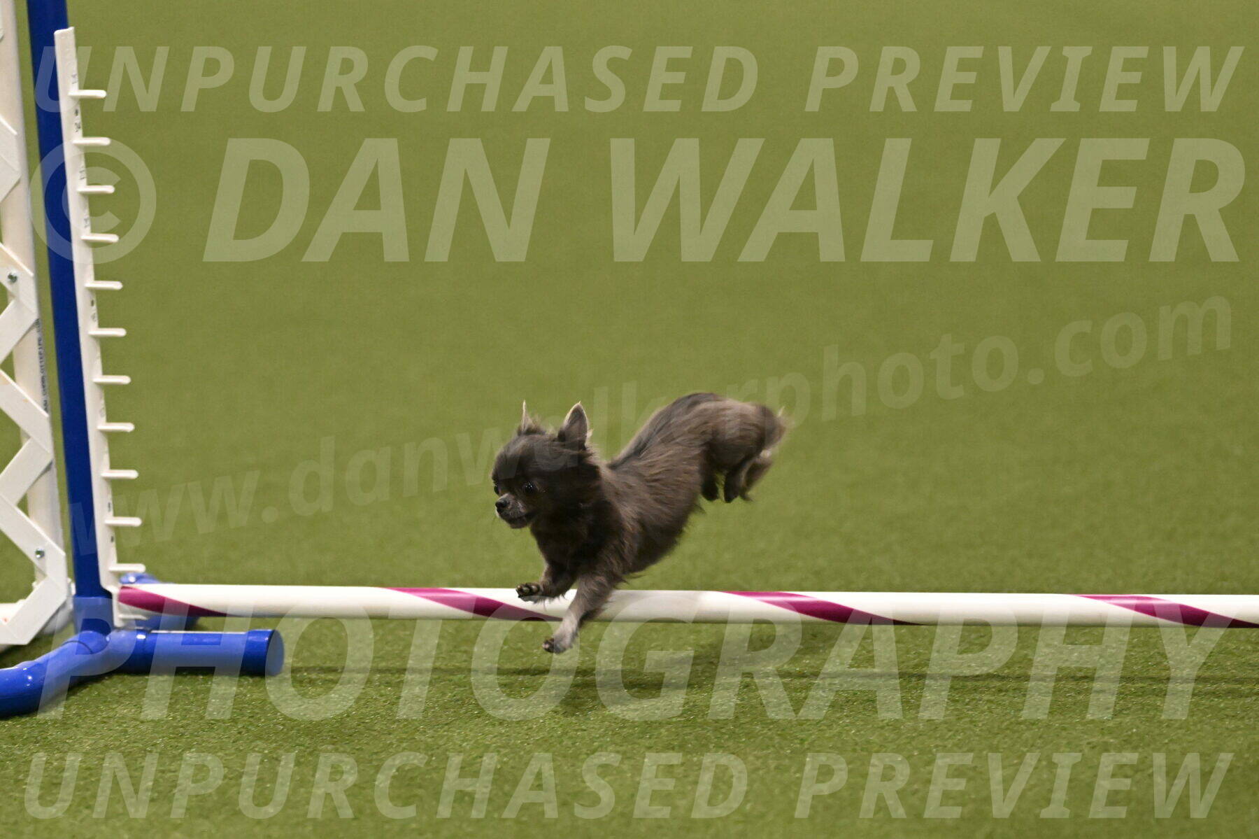 Felina-Samantha-Yanchik-07728