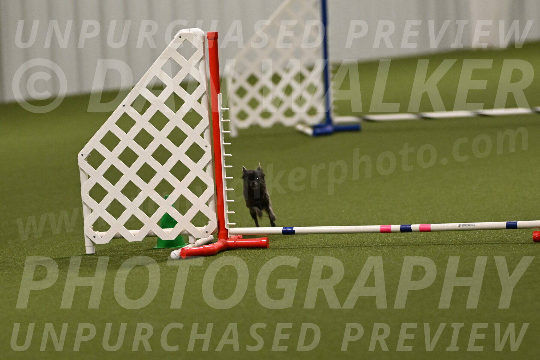 Felina-Samantha-Yanchik-07729