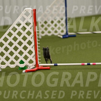 Felina-Samantha-Yanchik-07729