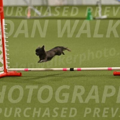 Felina-Samantha-Yanchik-07730