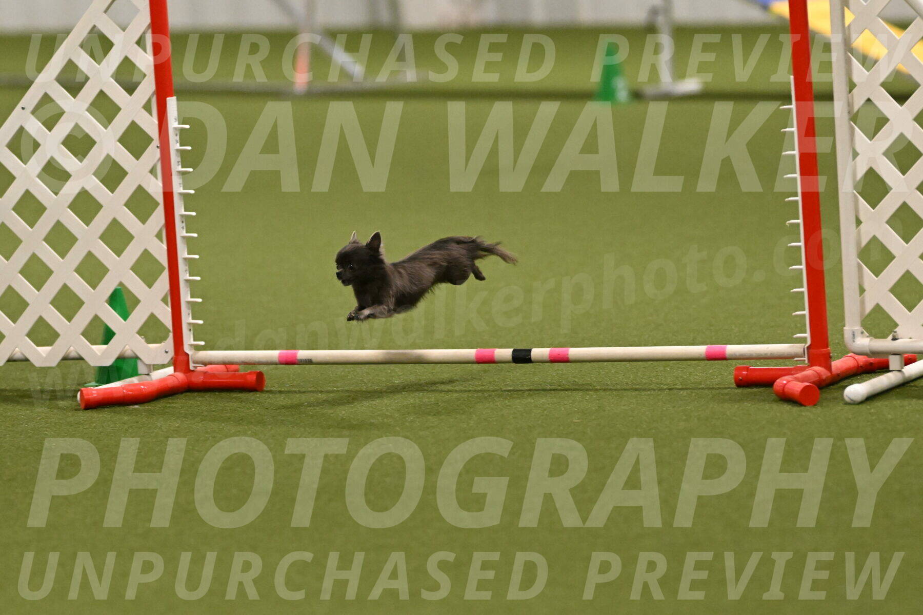 Felina-Samantha-Yanchik-07730