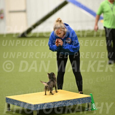 Felina-Samantha-Yanchik-07732