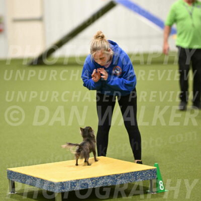 Felina-Samantha-Yanchik-07733