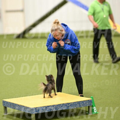 Felina-Samantha-Yanchik-07734