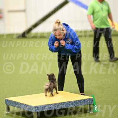 Felina-Samantha-Yanchik-07735