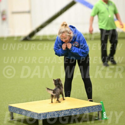 Felina-Samantha-Yanchik-07736