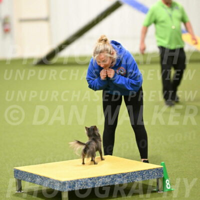 Felina-Samantha-Yanchik-07737