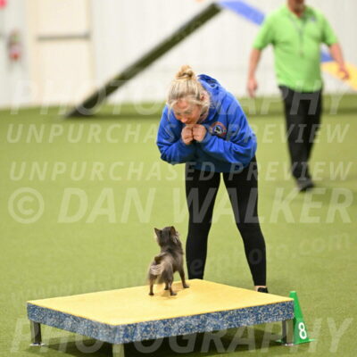 Felina-Samantha-Yanchik-07738