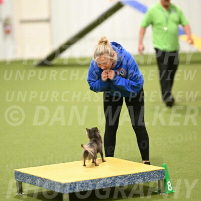 Felina-Samantha-Yanchik-07739