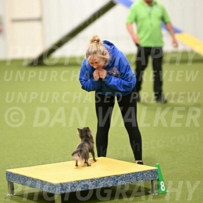 Felina-Samantha-Yanchik-07740