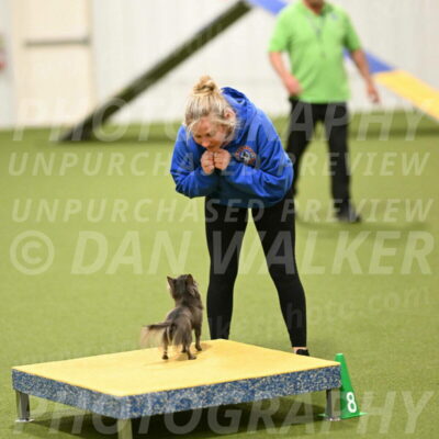 Felina-Samantha-Yanchik-07741