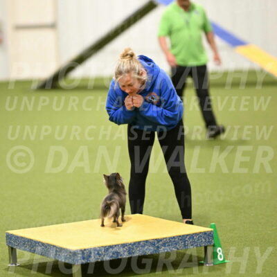 Felina-Samantha-Yanchik-07742