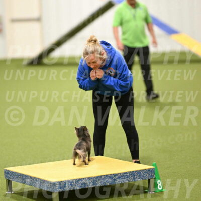 Felina-Samantha-Yanchik-07743