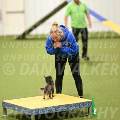 Felina-Samantha-Yanchik-07744