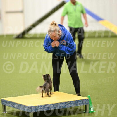 Felina-Samantha-Yanchik-07745