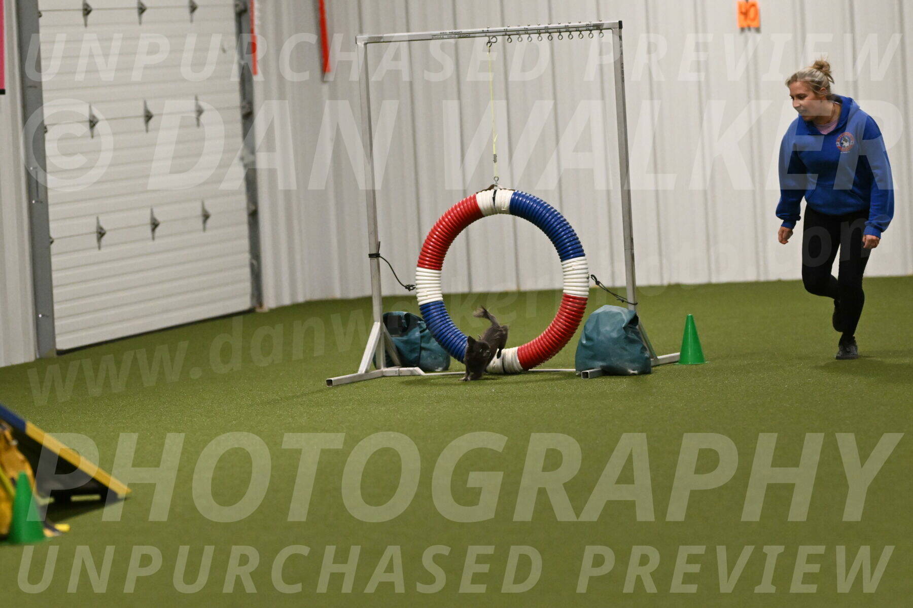 Felina-Samantha-Yanchik-07746